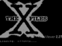 X-Files E-mail Viewer, The спектрум